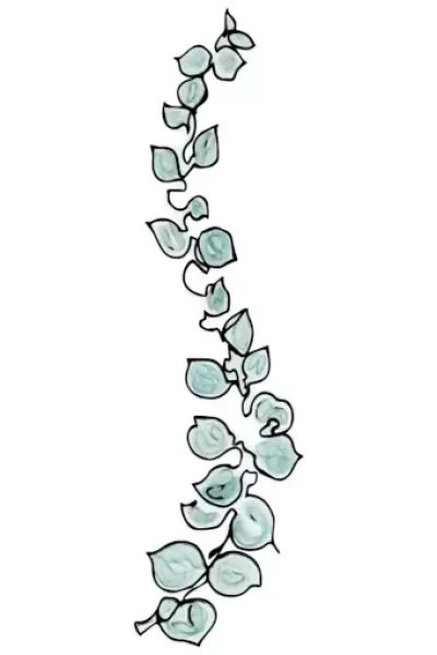 cropped-site-icon-the-chiropractic-clinic.webp